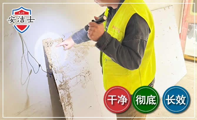 海盐除白蚁现场