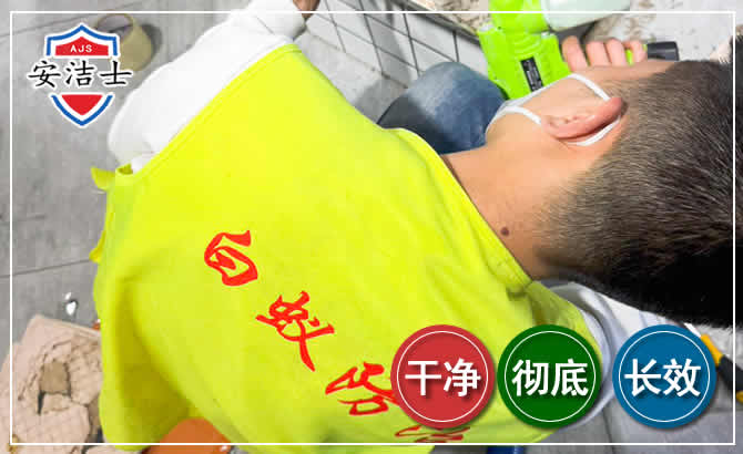 海盐白蚁根治现场